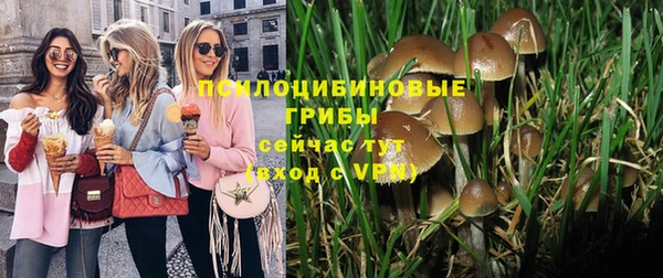 СК Зеленодольск