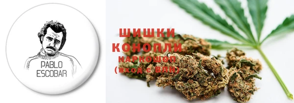 дурь Ельня