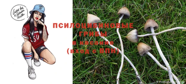 мескалин Зерноград