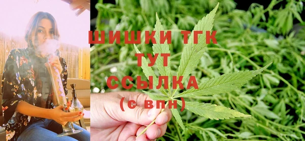 СК Зеленодольск