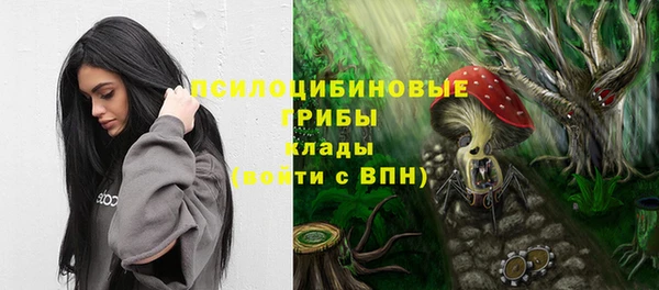 СК Зеленодольск
