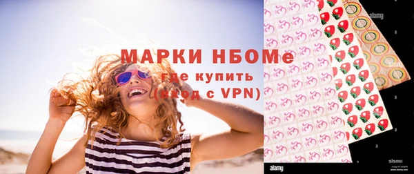 бошки Алексин