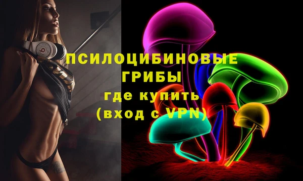 крисы Алзамай