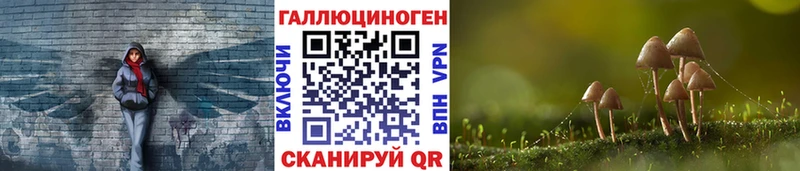 Галлюциногенные грибы прущие грибы  Пущино 
